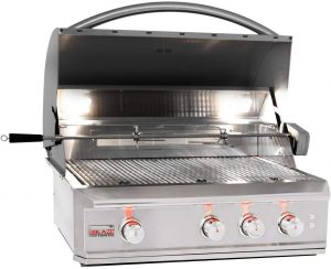 Blaze Professional